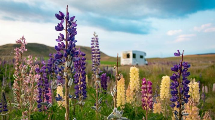 Vacanza a contatto con la natura in Italia: qualche idea 1