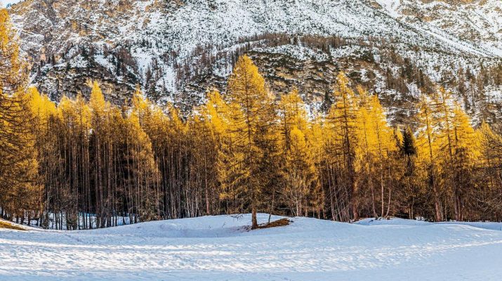 Weekend tra natura e relax nel cuore dell’Irpinia 1